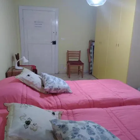 La Campanula Vittorito