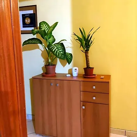 La Campanula 3*