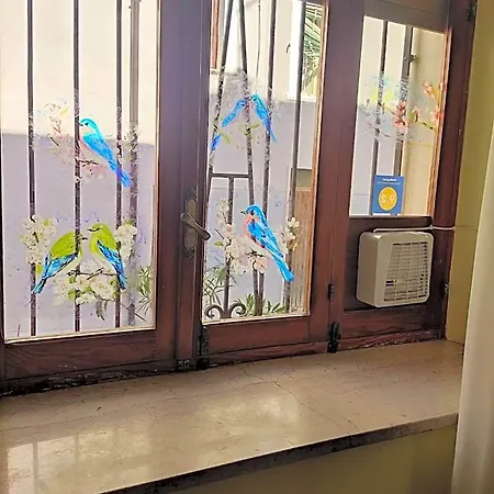 La Campanula Vittorito