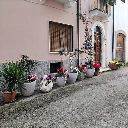La Campanula Vittorito