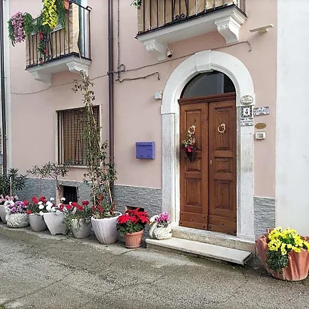 La Campanula Vittorito